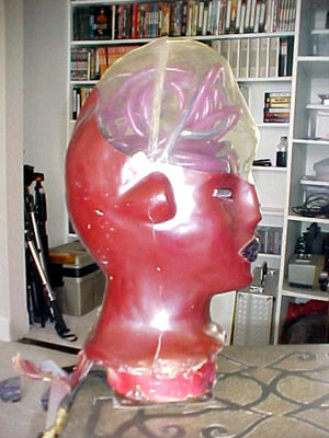 ilcylonhead03.jpg