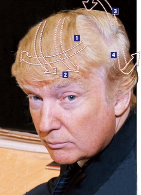 Donald-Trump-Hair.jpg
