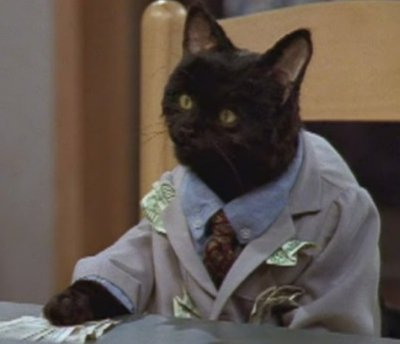 kitty for president.jpg