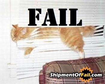 stupid-cat 2.jpg