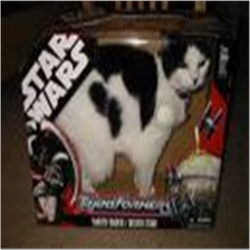star wars kitty.png
