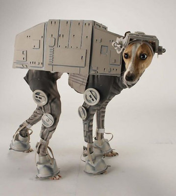 at-at-dog.jpg