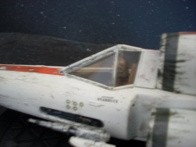 z9.JPG