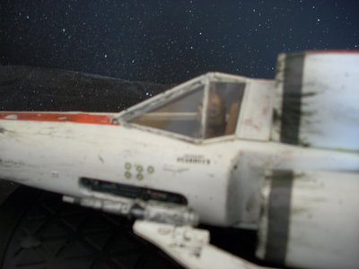 z14.JPG