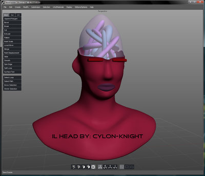 IL_Head_By-Cylon-Knight.jpg