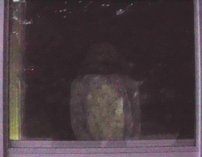 mother crop.jpg