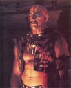 Tigerman_03.jpg