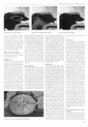 Filename=Restoring_the_Draconia_-_Part_Two_02.jpg
Filesize=764KiB
Dimensions=1615x2326
Date added=Mar 01, 2014 Restoring_the_Draconia_-_Part_Two_02.jpg