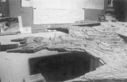 Draconia_Original_Miniature_Restoration_22.jpg
