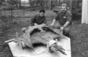 Draconia_Original_Miniature_Restoration_25.jpg