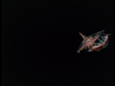 Shuttle_Screencap_03.png