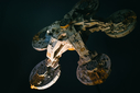 Filename=Theta_Space_Station_Original_Miniature_03_Photo_courtesy_of_Paul_Hudson.jpg
Filesize=1131KiB
Dimensions=1920x1282
Date added=Jul 01, 2017 Theta_Space_Station_Original_Miniature_03_Photo_courtesy_of_Paul_Hudson.jpg