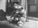 Filename=BSG_Cast_Boxey___Muffit_II_04.jpg
Filesize=174KiB
Dimensions=1416x1048
Date added=Oct 14, 2016 BSG_Cast_Boxey___Muffit_II_04.jpg