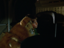 Filename=Boxey_Screencap_53.png
Filesize=1829KiB
Dimensions=1440x1080
Date added=Jun 03, 2015 Boxey_Screencap_53.png