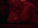 Commander_Adama_Screencap_400.png