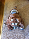 Filename=Muffit_II_Replica_Costume_05.jpg
Filesize=2963KiB
Dimensions=1529x2047
Date added=Oct 09, 2016 Muffit_II_Replica_Costume_05.jpg