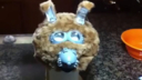 Filename=Muffit_II_Replica_Head.mp4
Filesize=2700KiB
Dimensions=0x0
Date added=Oct 09, 2016 Muffit_II_Replica_Head.mp4