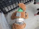 Muffit_II_Original_Costume_Restoration_06.jpg