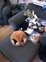 Muffit_II_Original_Costume_Restoration_09.jpg