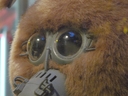 Filename=Muffit_II_Original_Costume_26.jpg
Filesize=1013KiB
Dimensions=1988x1491
Date added=Dec 27, 2018 Muffit_II_Original_Costume_26.jpg