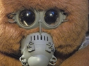 Filename=Muffit_II_Original_Costume_27.jpg
Filesize=943KiB
Dimensions=1988x1491
Date added=Dec 27, 2018 Muffit_II_Original_Costume_27.jpg
