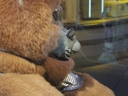 Filename=Muffit_II_Original_Costume_29.jpg
Filesize=599KiB
Dimensions=1988x1491
Date added=Dec 27, 2018 Muffit_II_Original_Costume_29.jpg
