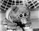 Filename=Muffit_II_Promo_01.jpg
Filesize=271KiB
Dimensions=1494x1206
Date added=Oct 09, 2016 Muffit_II_Promo_01.jpg