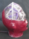 Gamoray_IL-Series_Cylon_Replica_Head_07.JPG