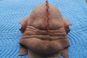Filename=Porcine_Alien_Original_Mask_05.JPG
Filesize=374KiB
Dimensions=1600x1071
Date added=May 09, 2015 Porcine_Alien_Original_Mask_05.JPG