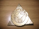 Replica_Constable_Badge_04.jpg