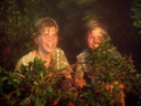 Nilz_-_Robus_Screencap_04.png