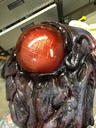 Filename=Ovion_Replica_Mask_24.jpg
Filesize=122KiB
Dimensions=720x960
Date added=Jun 23, 2016 Ovion_Replica_Mask_24.jpg