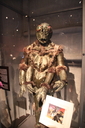 Filename=Ovion_Original_Costume_15.jpg
Filesize=5117KiB
Dimensions=3168x4752
Date added=Jun 12, 2015 Ovion_Original_Costume_15.jpg