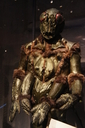 Filename=Ovion_Original_Costume_18.jpg
Filesize=3493KiB
Dimensions=3056x4592
Date added=Jun 12, 2015 Ovion_Original_Costume_18.jpg