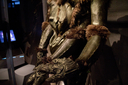 Filename=Ovion_Original_Costume_21.jpg
Filesize=7893KiB
Dimensions=5184x3456
Date added=Jun 12, 2015 Ovion_Original_Costume_21.jpg