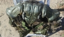 Ovion_Original_Costume_36.JPG