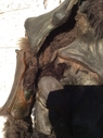 Ovion_Original_Costume_39.JPG