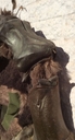 Ovion_Original_Costume_44.JPG