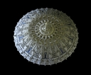Filename=Lego_BSG_McQuarrie_Concept_Cylon_Basestar_10.jpg
Filesize=957KiB
Dimensions=4029x3346
Date added=Jan 25, 2016 Lego_BSG_McQuarrie_Concept_Cylon_Basestar_10.jpg