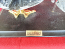 Filename=Revell_Monogram_BSG_Cylon_Basestar_Diorama_06.jpg
Filesize=253KiB
Dimensions=800x600
Date added=Dec 04, 2015 Revell_Monogram_BSG_Cylon_Basestar_Diorama_06.jpg