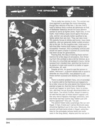 Filename=The_Battlestar_Galactica_Files_-_Cylon_Attack_33.jpg
Filesize=629KiB
Dimensions=1619x2166
Date added=Jun 18, 2016 The_Battlestar_Galactica_Files_-_Cylon_Attack_33.jpg