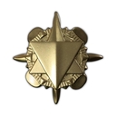 Commander_Cain_Medallion_-_Distinguished_Service_Medallion.jpg