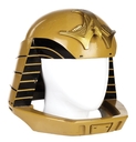 Filename=Original_Viper_Helmet_35.jpg
Filesize=51KiB
Dimensions=704x731
Date added=Mar 23, 2017 Original_Viper_Helmet_35.jpg