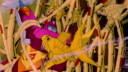 Hot_Rod_Screencap_139.png