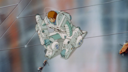 Daniel_Witwicky_Screencap_062.png