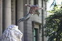Filename=V_Season_2_On_The_Set_013.jpg
Filesize=158KiB
Dimensions=600x400
Date added=Jan 29, 2013 V_Season_2_On_The_Set_013.jpg