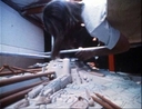 Agro_Ship_Original_Miniature_under_Construction_08.jpg