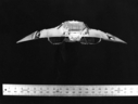 Raider_Original_Miniature_01.jpg