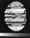Raider_Original_Miniature_04.jpg