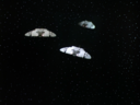 Raider_Screencap_080.png